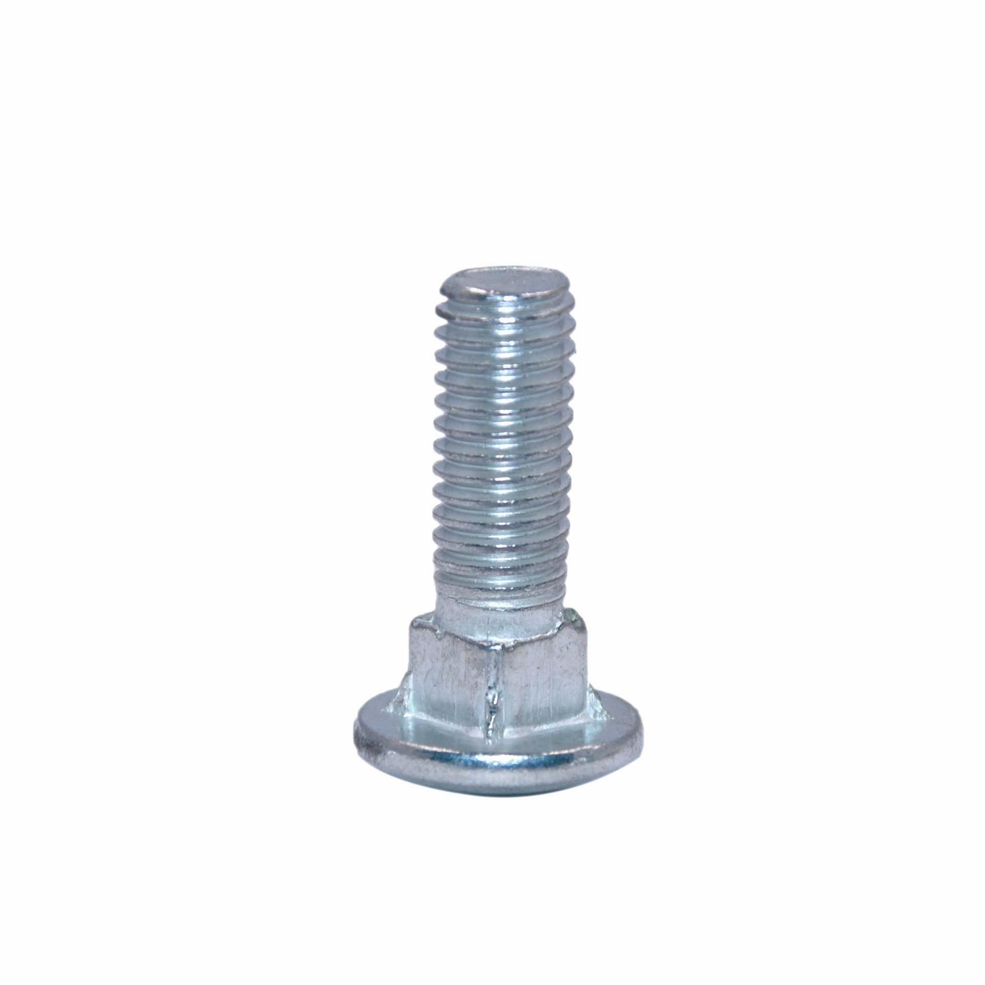 Carriage Bolt